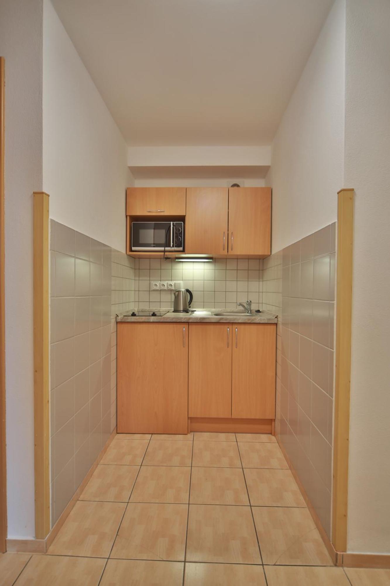 Apartmany U Sneka Железна Руда Екстер'єр фото