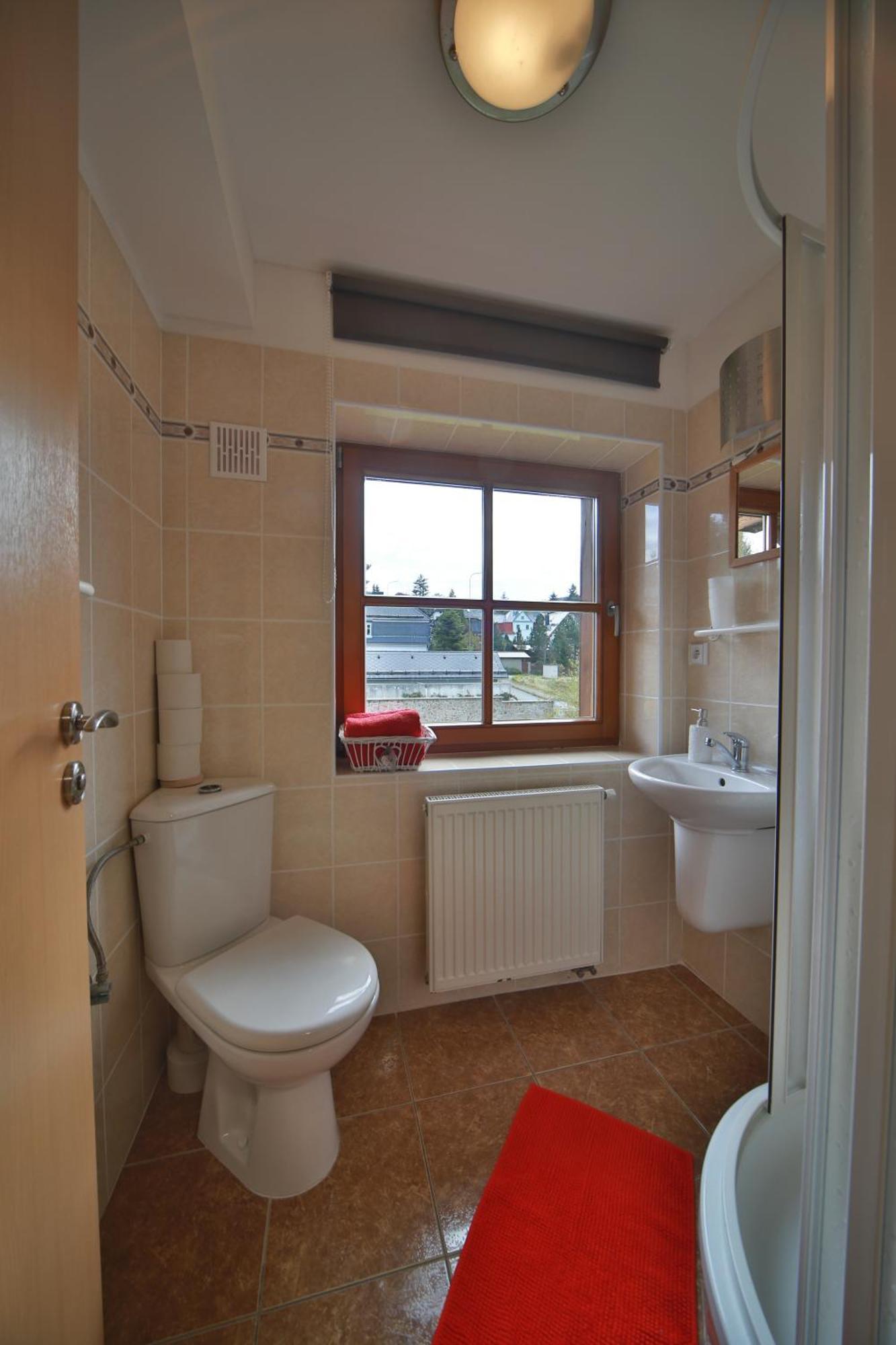 Apartmany U Sneka Железна Руда Екстер'єр фото
